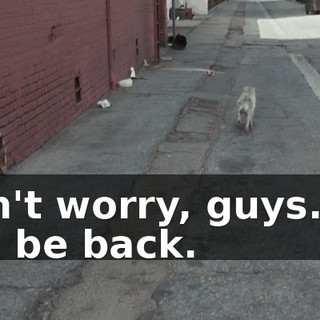 6d51b756-b2eb-4849-ba9c-b1404a077598.gif