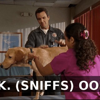 6d57f285-bb76-43d1-85ad-ad6d886c8b0d.gif