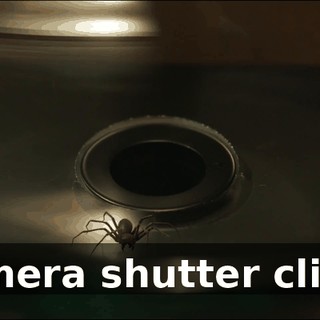 6d765570-c888-4862-a18d-705efe80674e.gif