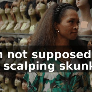 I'm not supposed to be scalping skunks.