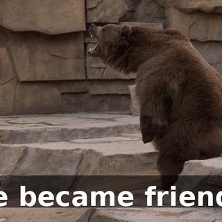 We became friends.