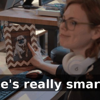 He's really smart.