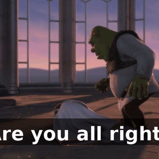 Are you all right?
