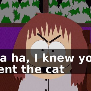 Ha ha, I knew you sent the cat
