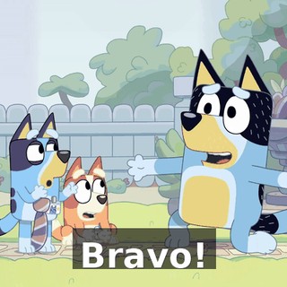 Bravo!