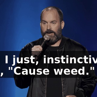 And I just, instinctively, I go, "Cause weed."