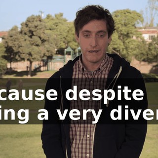 because despite being a very diverse