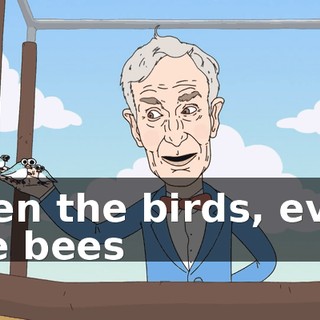Even the birds, even the bees