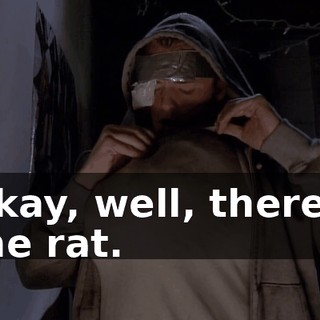 Okay, well, there's the rat.