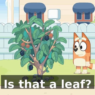 Is that a leaf?