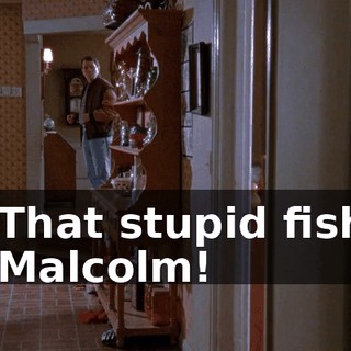 - That stupid fish! - Malcolm!