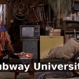 Subway University.