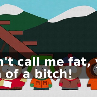 Don't call me fat, you son of a bitch!