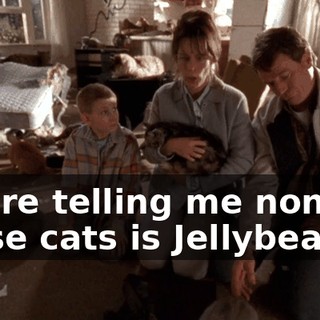 7010beeb-c5f9-4808-83f5-1f0efad6b802.gif