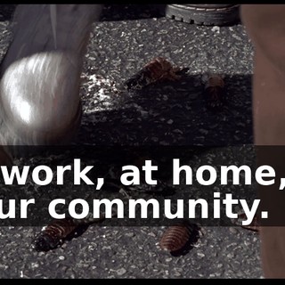 7031967f-d04a-4dca-99a0-589a385b1c29.gif