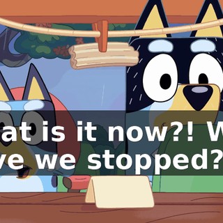What is it now?! Why have we stopped?!