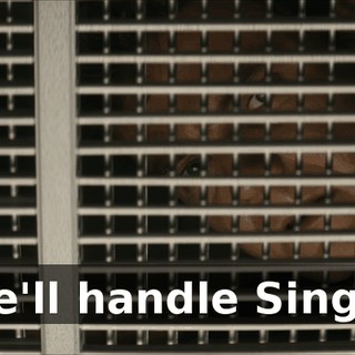70587a84-fd35-4c1a-bdd6-f8958e09cf73.gif