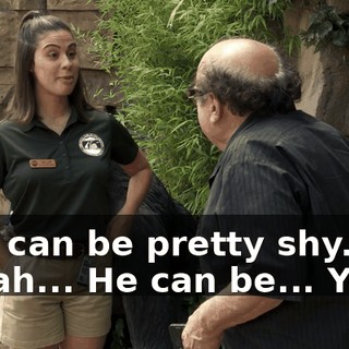 707b5035-f76f-40eb-8f33-2809dfedfe27.gif