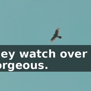707f137d-923c-4bc0-9bb3-a12db0f0979f.gif
