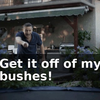 Get it off of my bushes!