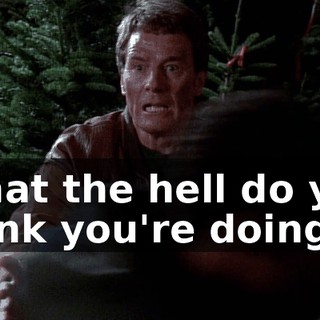 What the hell do you think you're doing?