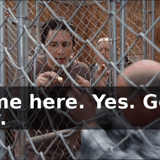 71186dd2-61d9-435e-8745-8dbc76175214.gif