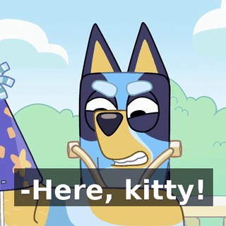 -Here, kitty!