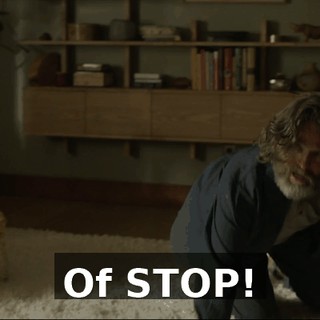 Of STOP!