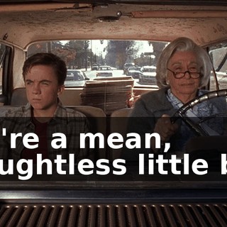 You're a mean, thoughtless little boy.