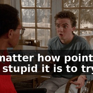no matter how pointless and stupid it is to try.