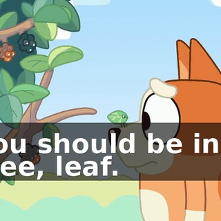 You should be in a tree, leaf.