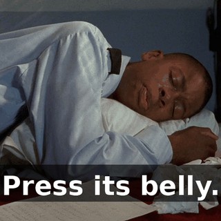 Press its belly.