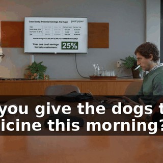 Did you give the dogs their medicine this morning?
