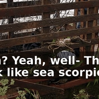 72174369-3b3c-4cae-a460-dd0c13ca8d63.gif