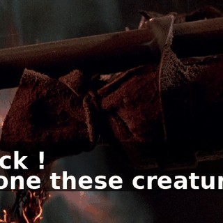 - Back ! - Stone these creatures !