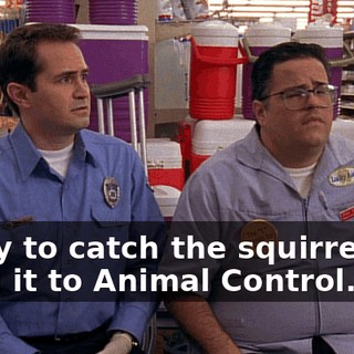 Or try to catch the squirrel and bring it to Animal Control.