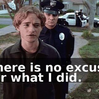 There is no excuse for what I did.