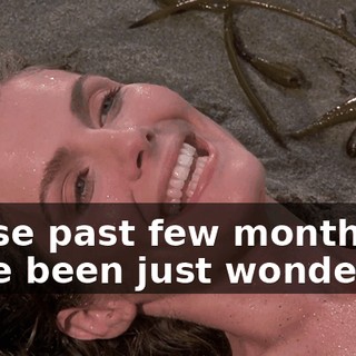 These past few months have been just wonderful.