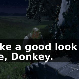 Take a good look at me, Donkey.