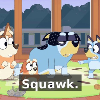 Squawk.