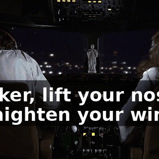 Striker, lift your nose. Straighten your wings!