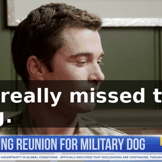 7357f006-0a4d-490e-ad98-cd13aed04c3c.gif