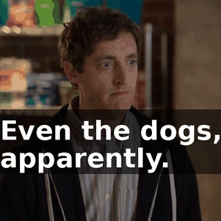 Even the dogs, apparently.