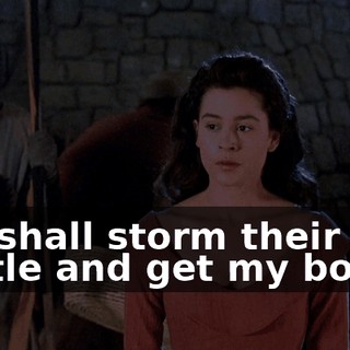 We shall storm their castle and get my book !