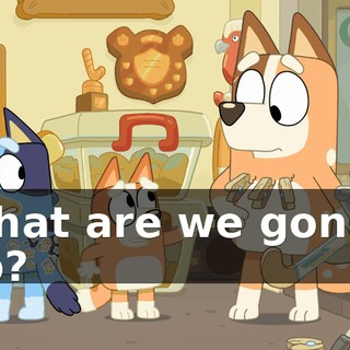 What are we gonna do?