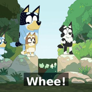 Whee!