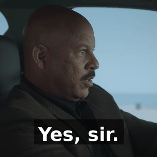 Yes, sir.