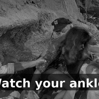 74af7eb7-3236-482d-b847-dd5c12779808.gif
