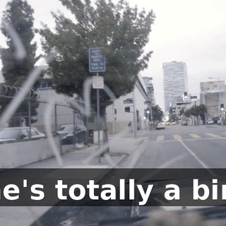 74dd9ef6-9354-421b-a3ee-8c4c293be226.gif
