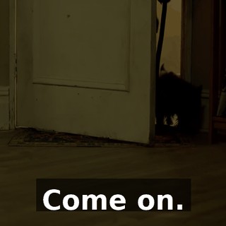74e1a6d5-1dfb-47fe-89f9-e7b521af49e6.gif
